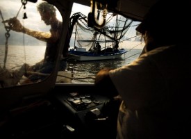 Eric Tiser, right, a lifelong shrimper from Venice, La., works on his boat with deckhand Marvin Smith, left, after helping a friend (center) get his boat running. Many shrimp areas have been closed down due to the BP oil spill. "I'm just making all I can right now so I can get my kids out of here," Tiser said. "Everything just got right since Katrina, but where I like to shrimp at is all closed down."