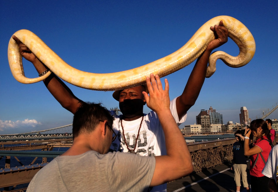 Brooklyn Bridge tourist somewhat willingly carry a local man's Python. Taken on July 29, 2013.