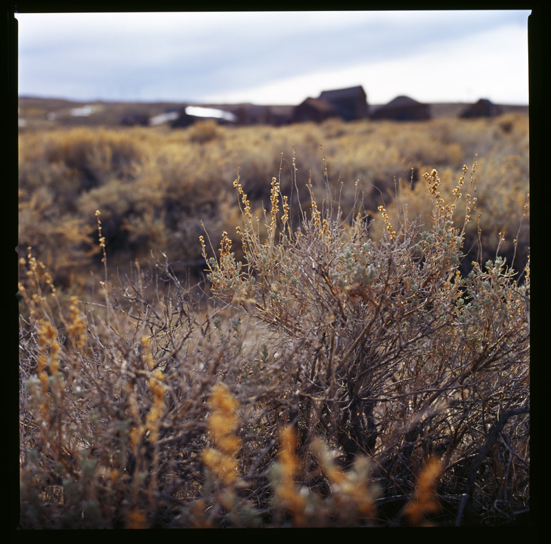 The ghost town of Bodie, California.